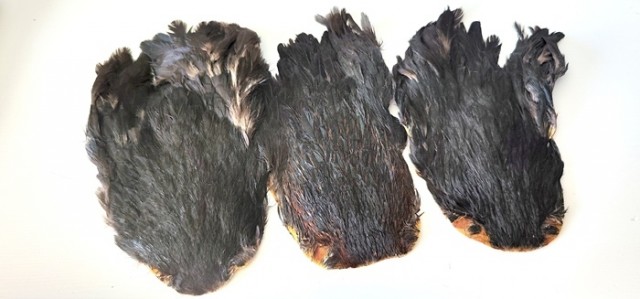 hen saddle black