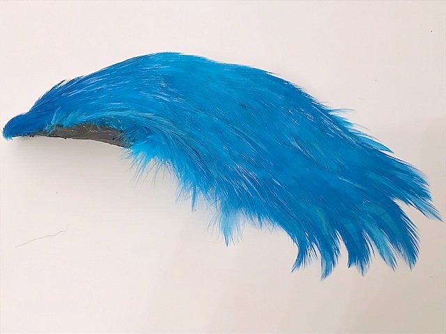 dr.blue