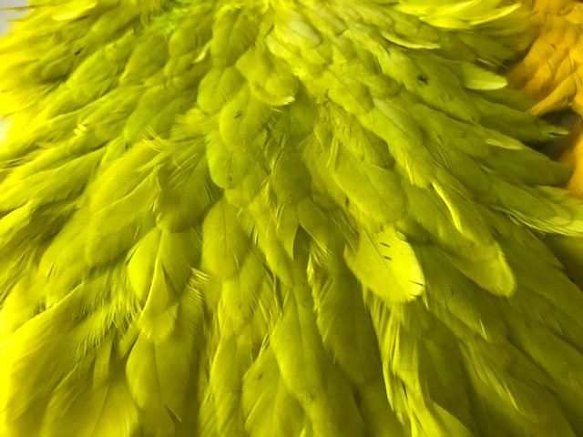 dirty fl. chartreuse