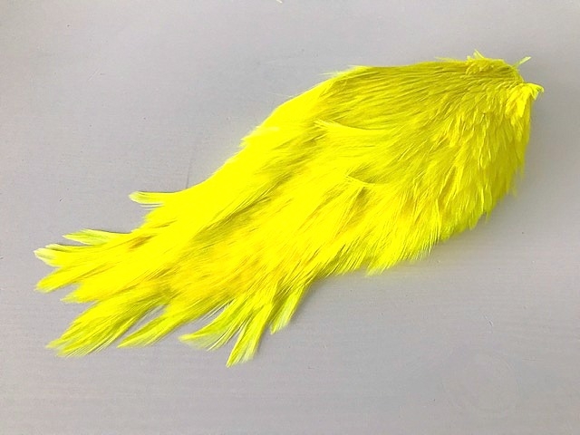 fl.yellow