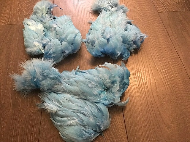 silver Doctor blue