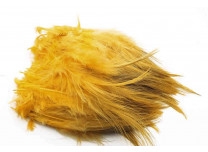 sunburst yellow
