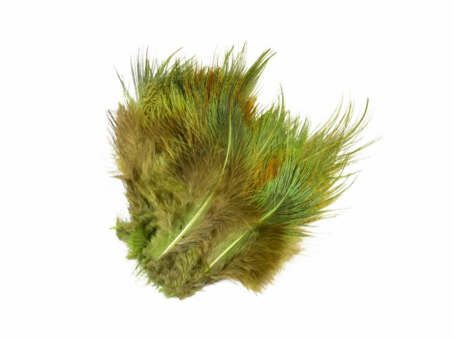 vanlig gaudy green